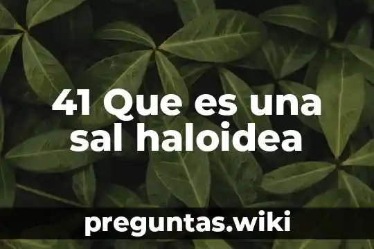41 Que es una sal haloidea