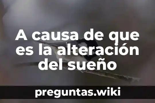 A causa de que es la alteración del sueño