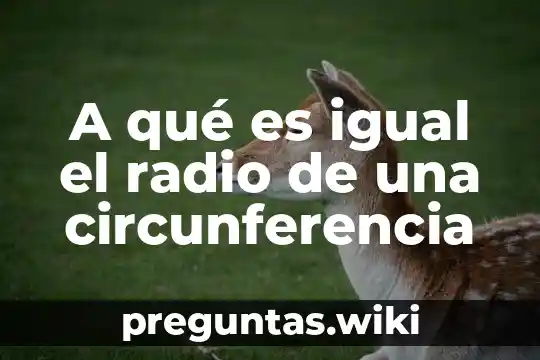 A qué es igual el radio de una circunferencia
