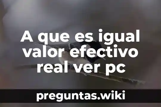 A que es igual valor efectivo real ver pc