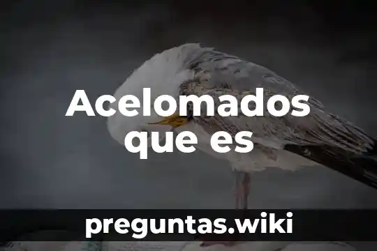 Acelomados que es