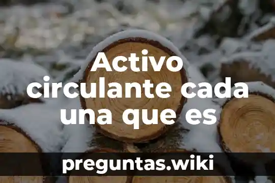 Activo circulante cada una que es