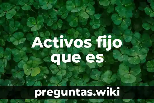 Activos fijo que es