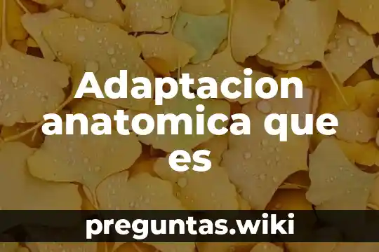 Adaptacion anatomica que es