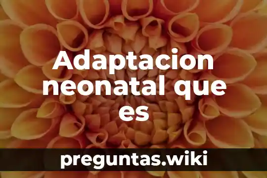 Adaptacion neonatal que es