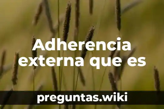 Adherencia externa que es
