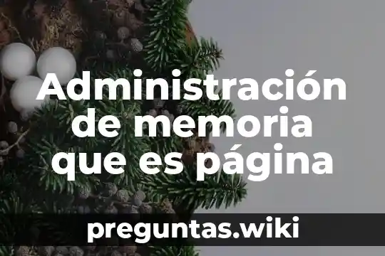 Administración de memoria que es página