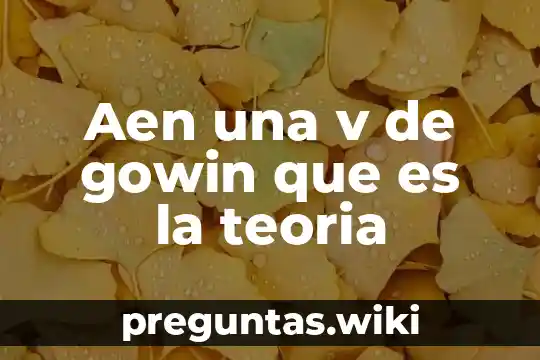 Aen una v de gowin que es la teoria