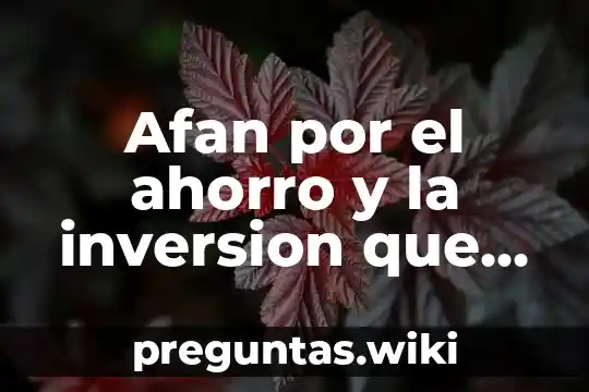 Afan por el ahorro y la inversion que es