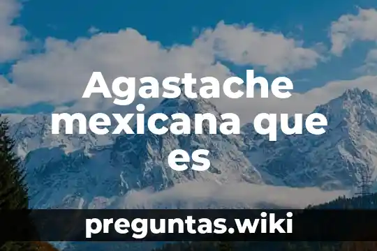 Agastache mexicana que es
