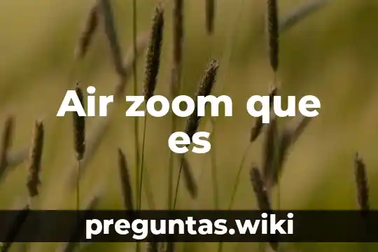 Air zoom que es