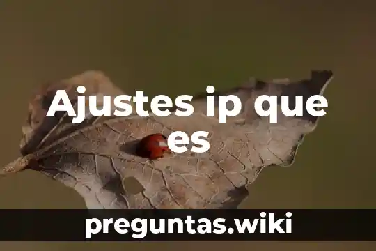 Ajustes ip que es