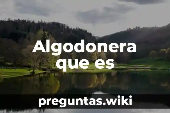 Algodonera que es