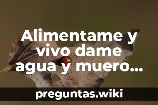 Alimentame y vivo dame agua y muero que es respuesta