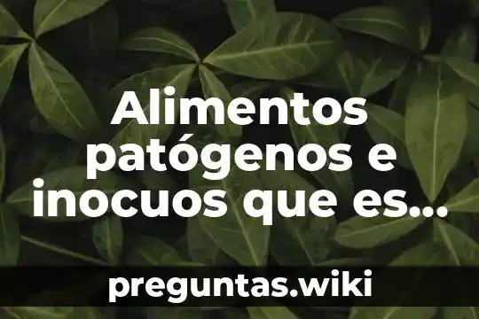 Alimentos patógenos e inocuos que es y como se abtienen
