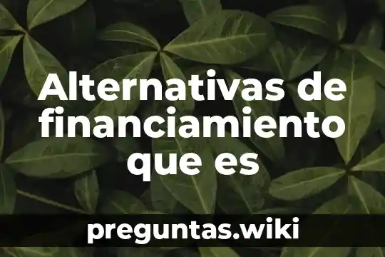 Alternativas de financiamiento que es