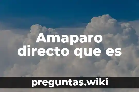 Amaparo directo que es