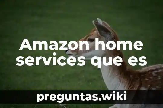 Amazon home services que es