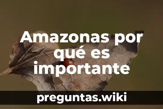 Amazonas por qué es importante