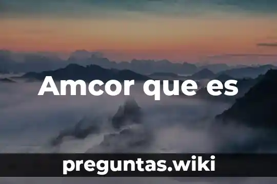Amcor que es