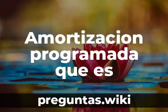 Amortizacion programada que es