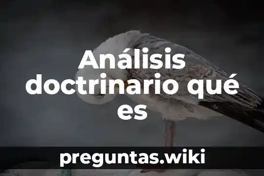 Análisis doctrinario qué es