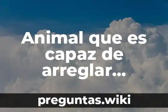Animal que es capaz de arreglar mejorar cosas