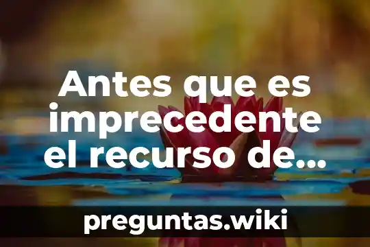 Antes que es imprecedente el recurso de revocación