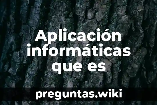 Aplicación informáticas que es