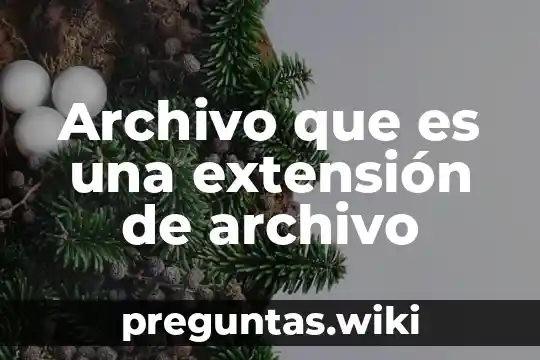 Archivo que es una extensión de archivo