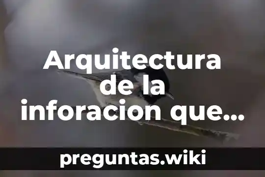 Arquitectura de la inforacion que es