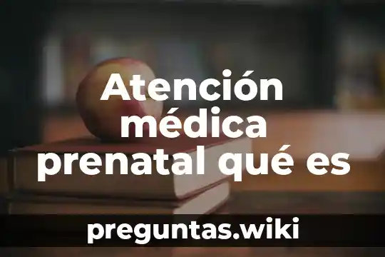 Atención médica prenatal qué es