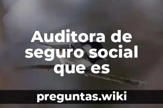 Auditora de seguro social que es