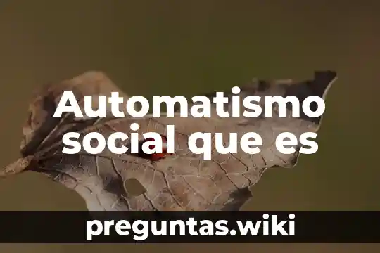 Automatismo social que es