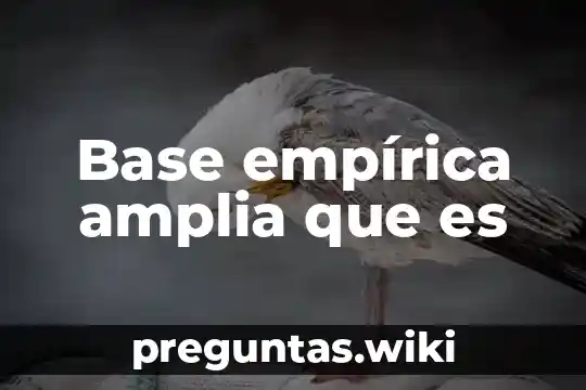 Base empírica amplia que es
