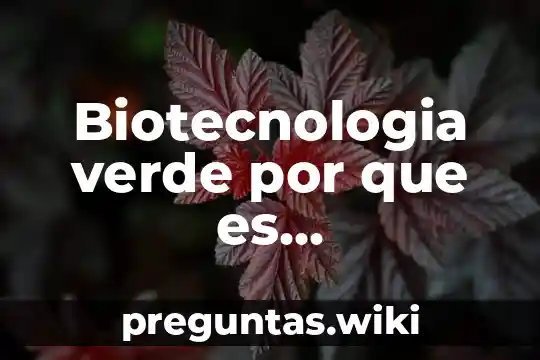 Biotecnologia verde por que es fundamental para el ser humano