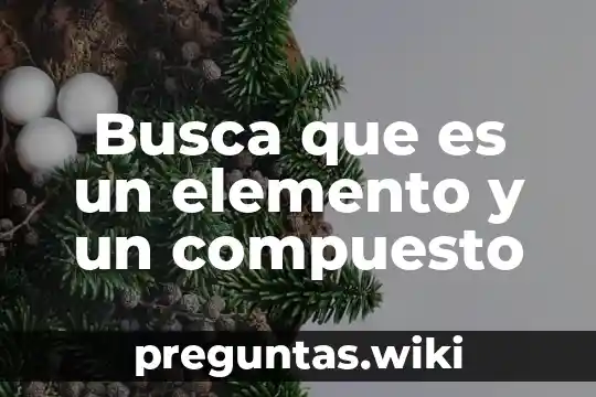 Busca que es un elemento y un compuesto