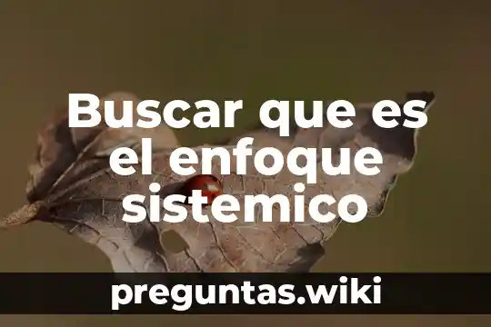 Buscar que es el enfoque sistemico