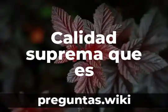 Calidad suprema que es