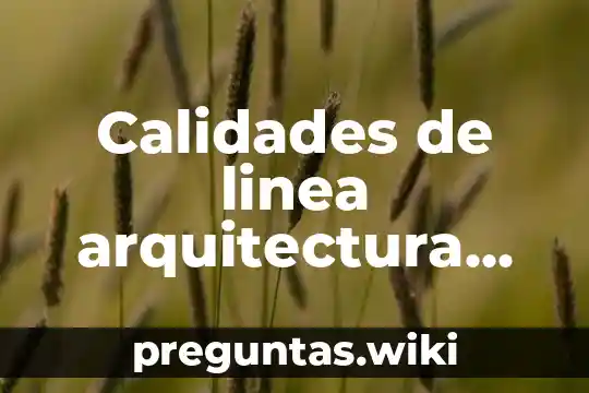 Calidades de linea arquitectura que es