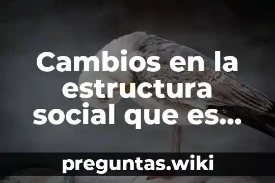 Cambios en la estructura social que es definición