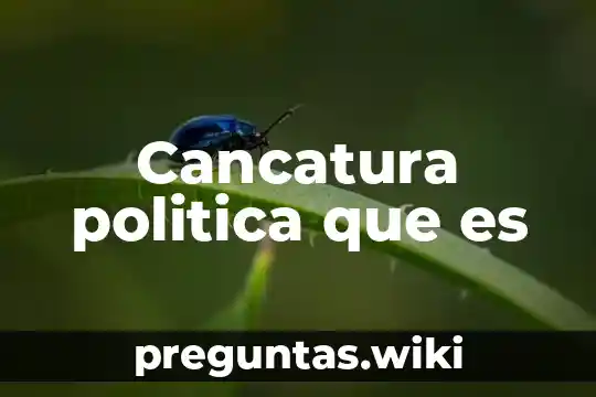 Cancatura politica que es