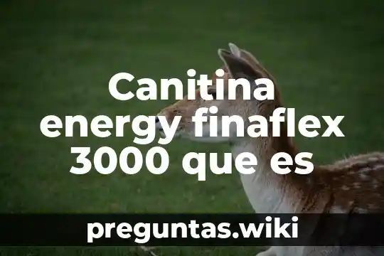 Canitina energy finaflex 3000 que es