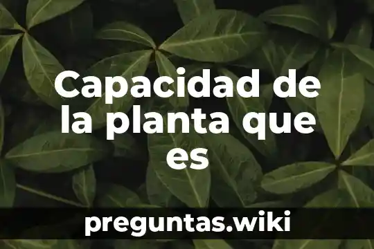 Capacidad de la planta que es
