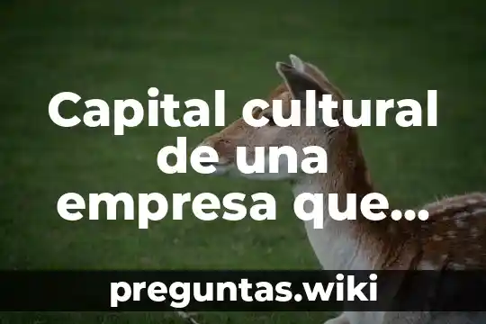 Capital cultural de una empresa que es
