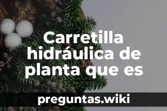 Carretilla hidráulica de planta que es