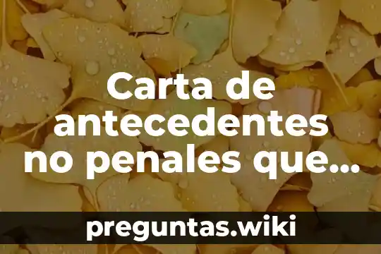 Carta de antecedentes no penales que es