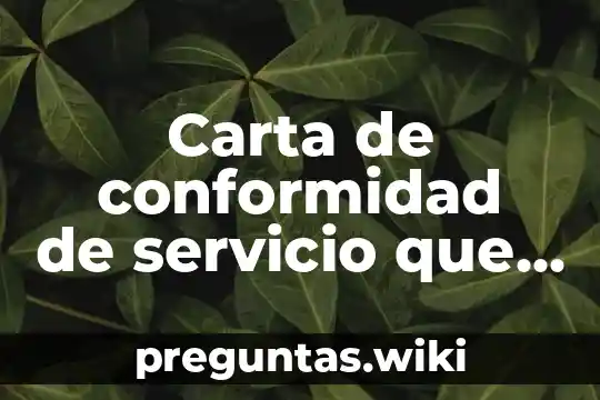 Carta de conformidad de servicio que es