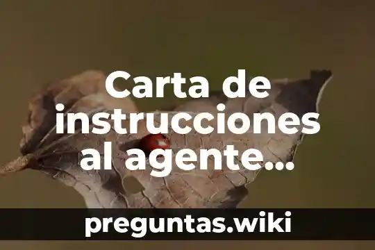 Carta de instrucciones al agente aduanal que es