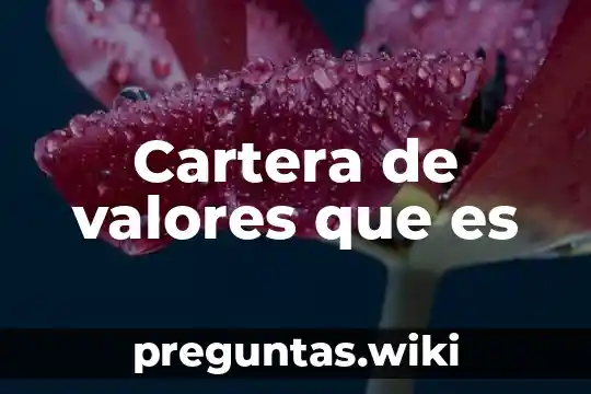 Cartera de valores que es